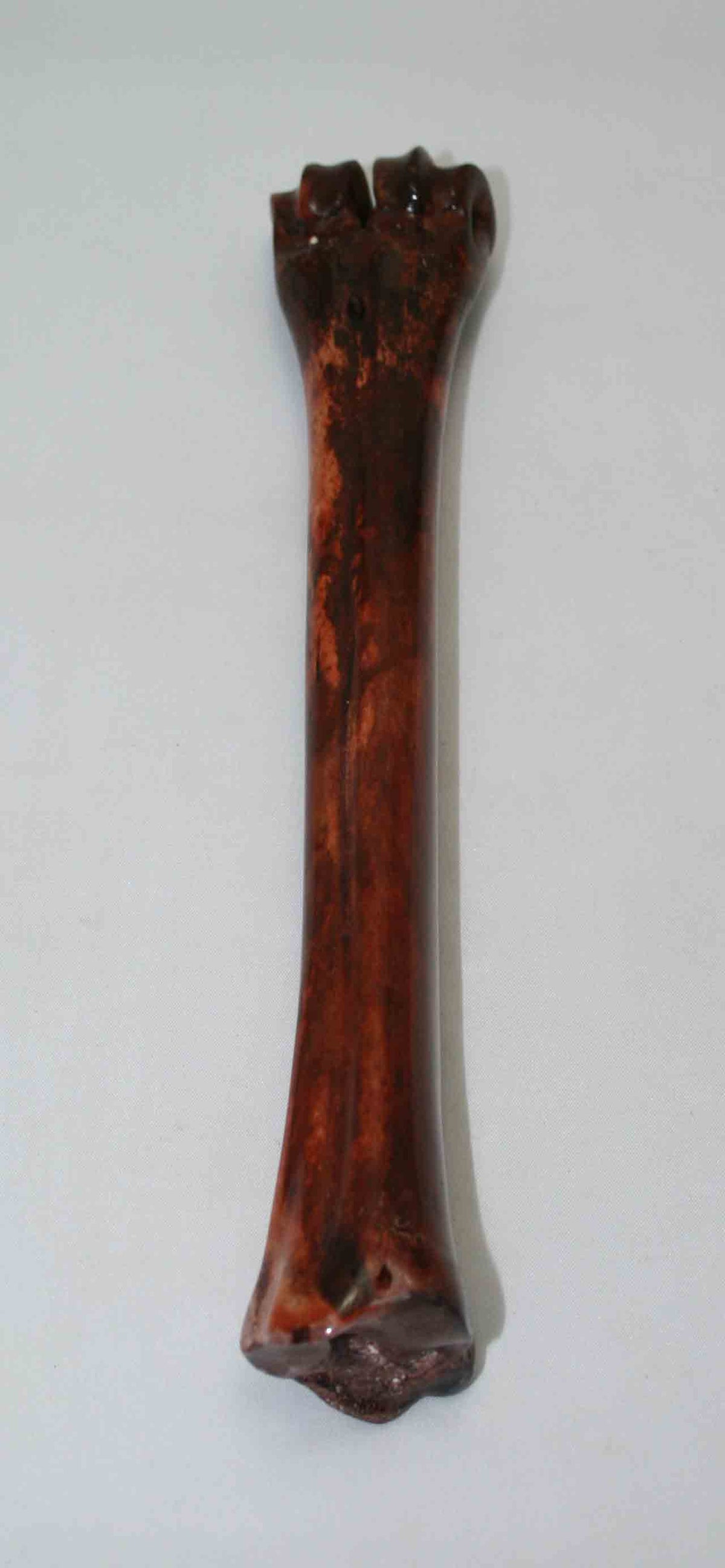 NB601NAM8 Wildebeest Bone