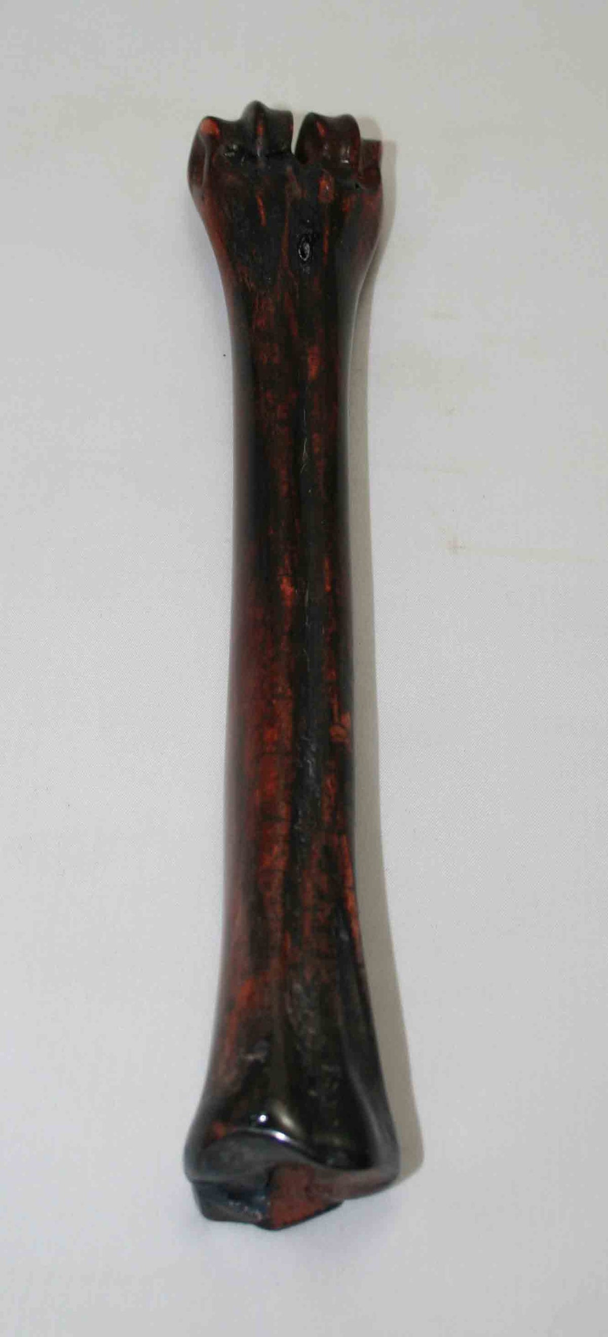 NB601NA12 Wildebeest Bone 10.00'' x 1.98" x 0.96'' inch