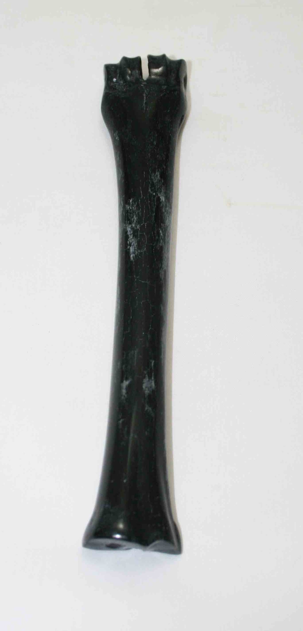 NB601NA13 Wildebeest Bone 9.25'' x 0.85" x 0.66'' inch