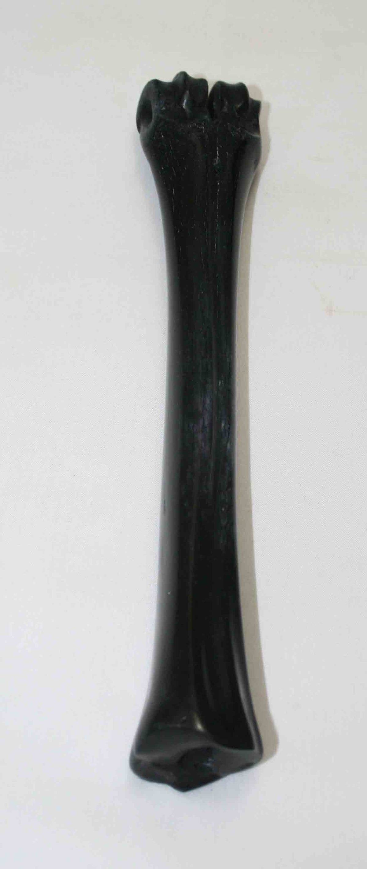 NB601NA15 Wildebeest Bone 9.25'' x 0.88" x 0.80'' inch