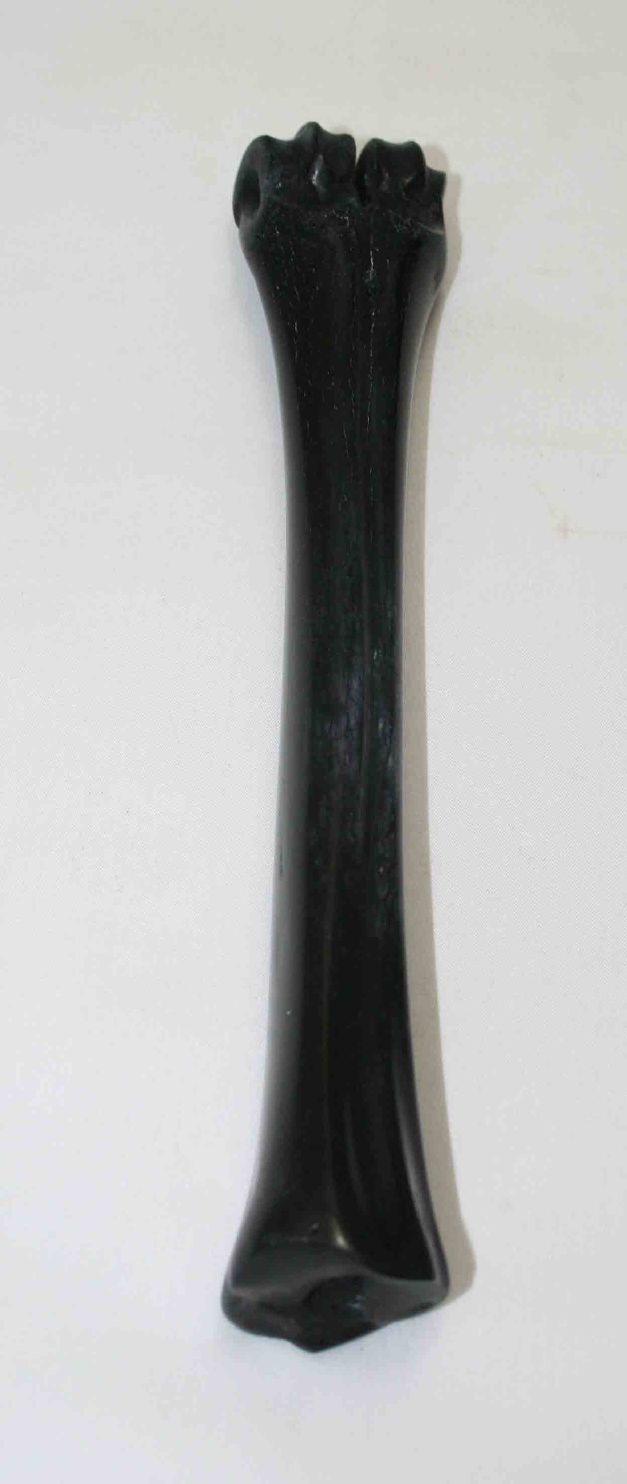 NB601NA15 Wildebeest Bone 9.25'' x 0.88" x 0.80'' inch