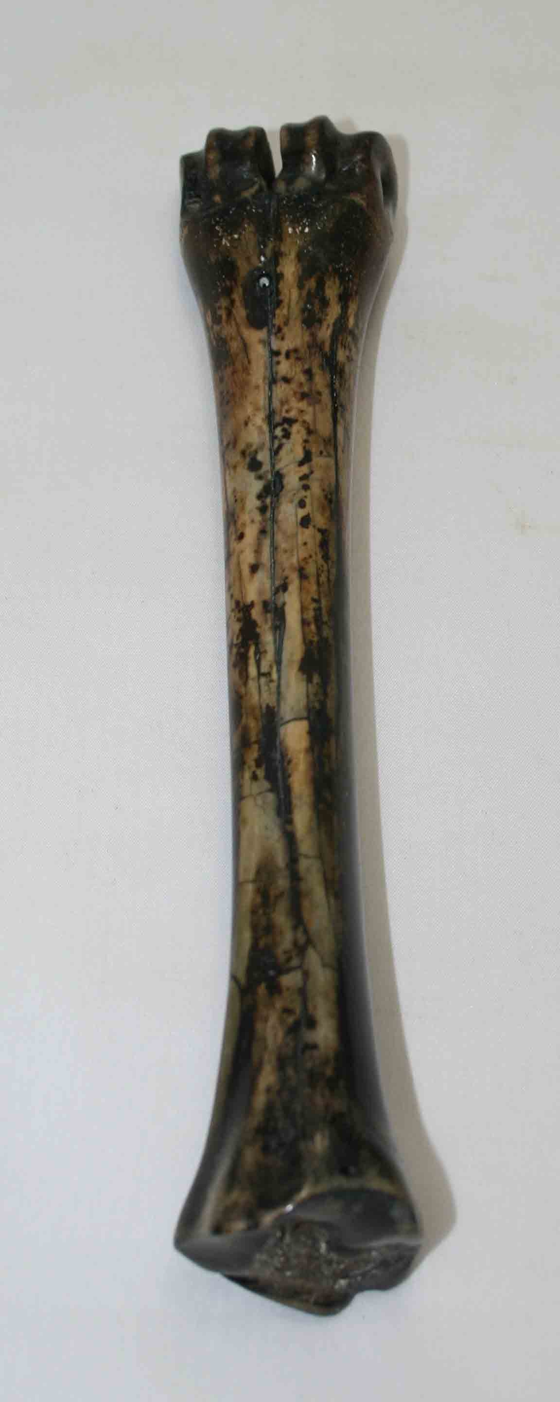 NB601NA16 Wildebeest Bone 9.50'' x 0.91" x 0.91'' inch