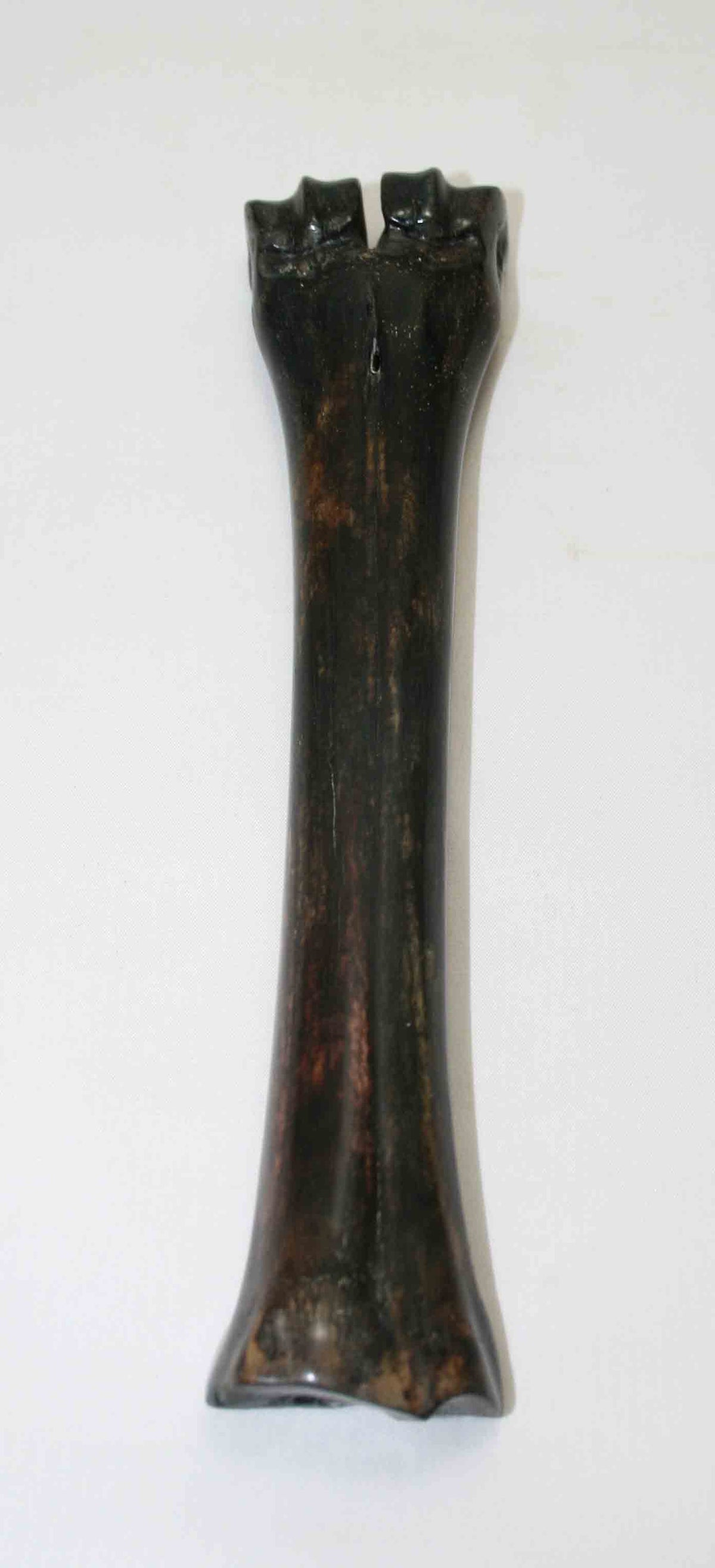 NB601NA2 Wildebeest Bone 9.00'' x 1.02" x 0.75'' inch