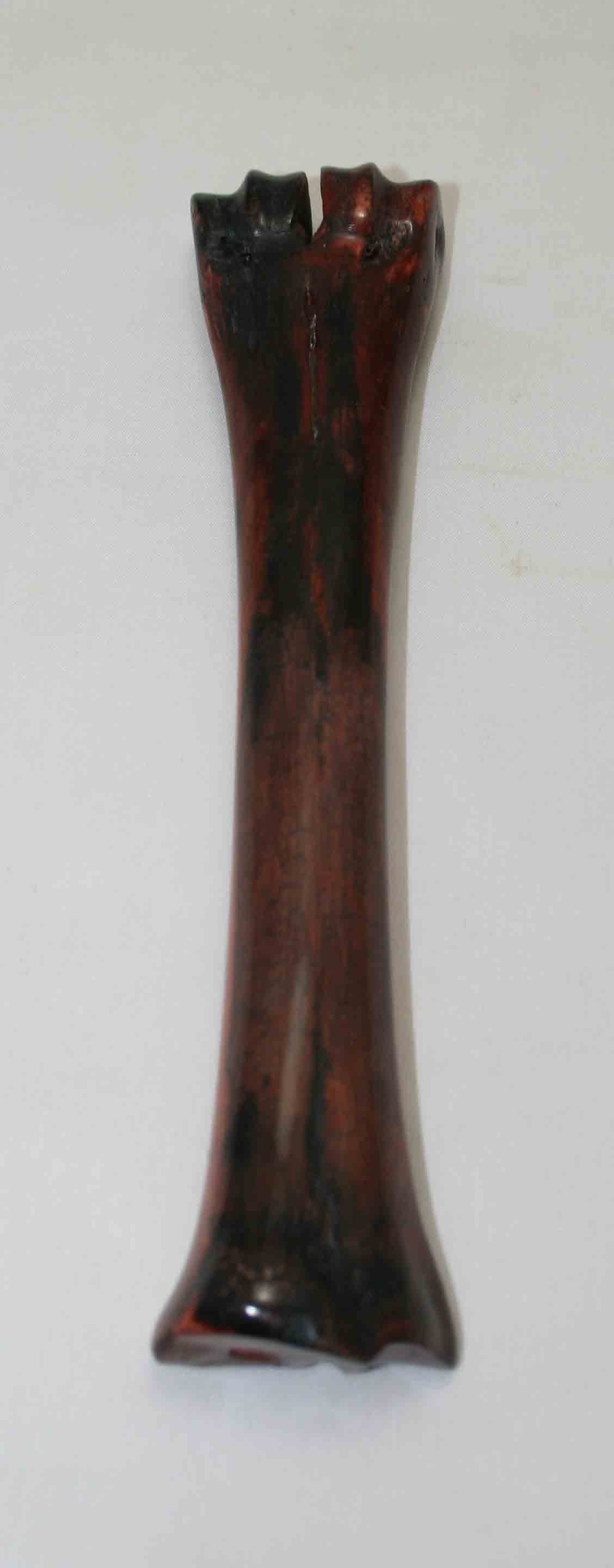 NB601NA8 Wildebeest Bone 8.50'' x 0.95" x 0.73'' inch