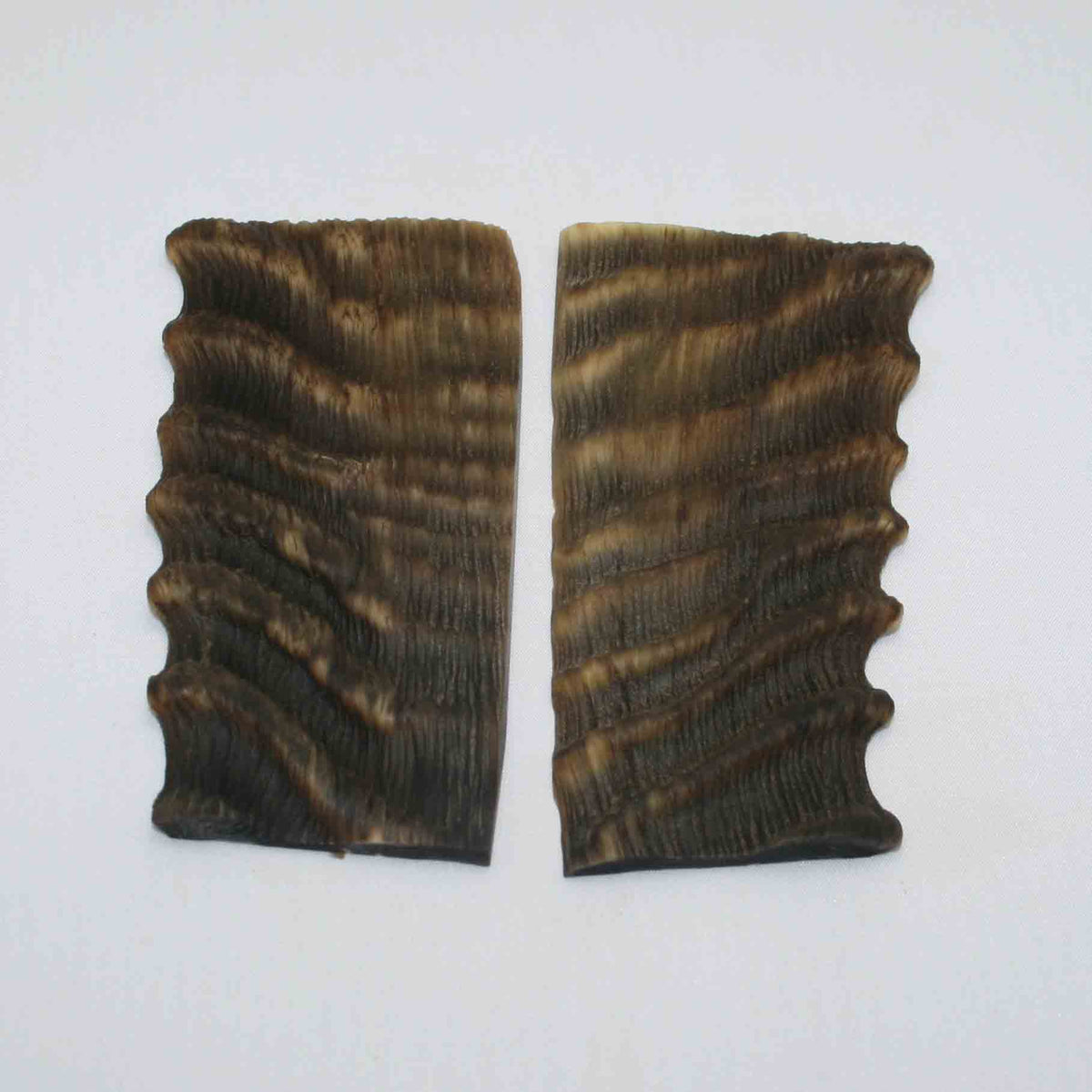 NB603MMA5 Waterbuck Horn Scales