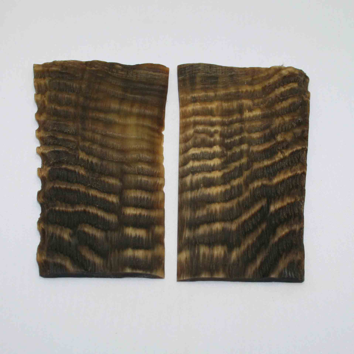 NB603MMA8 Waterbuck Horn Scales