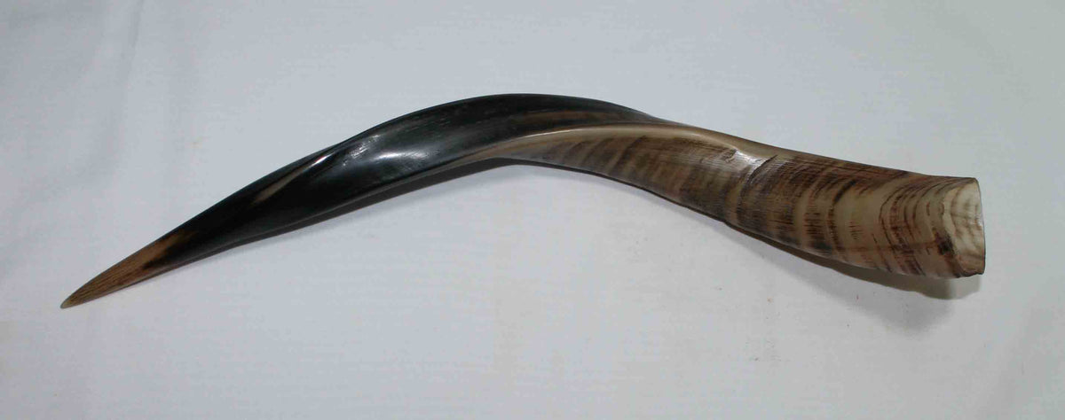 NB611NA2 Njala Whole Horn 16.50" x top end 1.86" x 1.66" inch