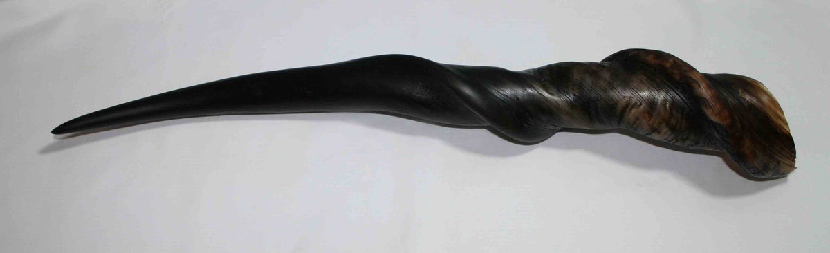 NB612LG1 Eland Whole Horn