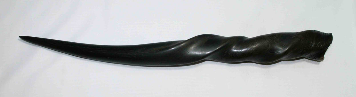 NB612NA1 Eland Whole Horn 22.00" x Top end 2.10" x 1.81" inch