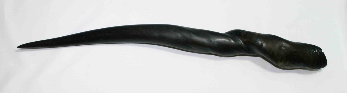 NB612NA3 Eland Whole Horn 24.50" x Top end 2.19" x 1.83" inch
