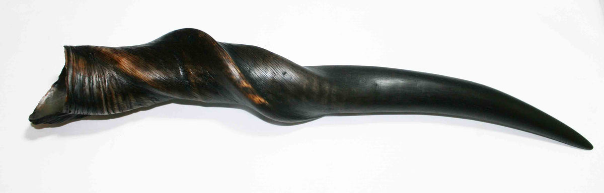 NB612MMA2 Eland Whole Horn