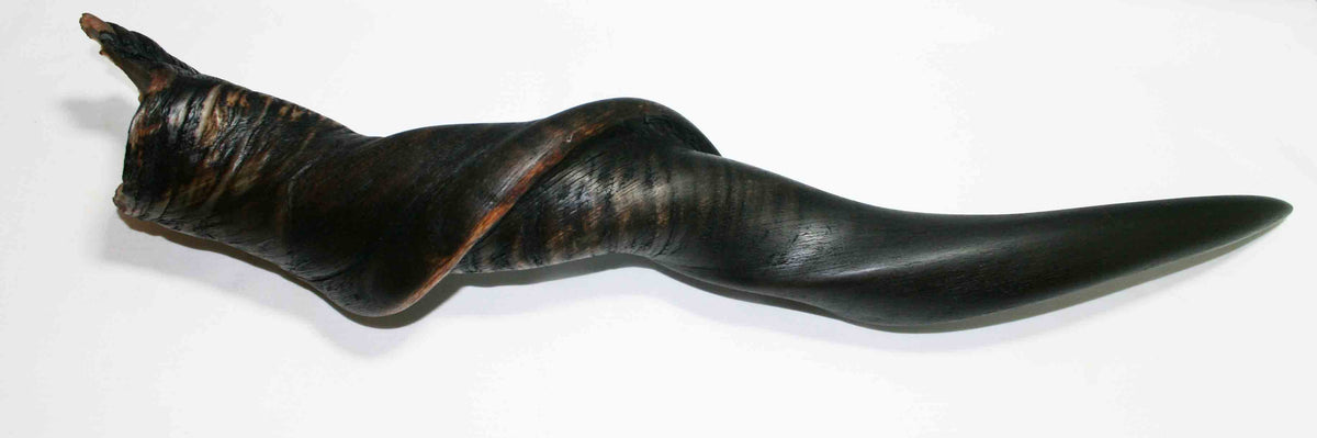 NB612MMA3 Eland Whole Horn