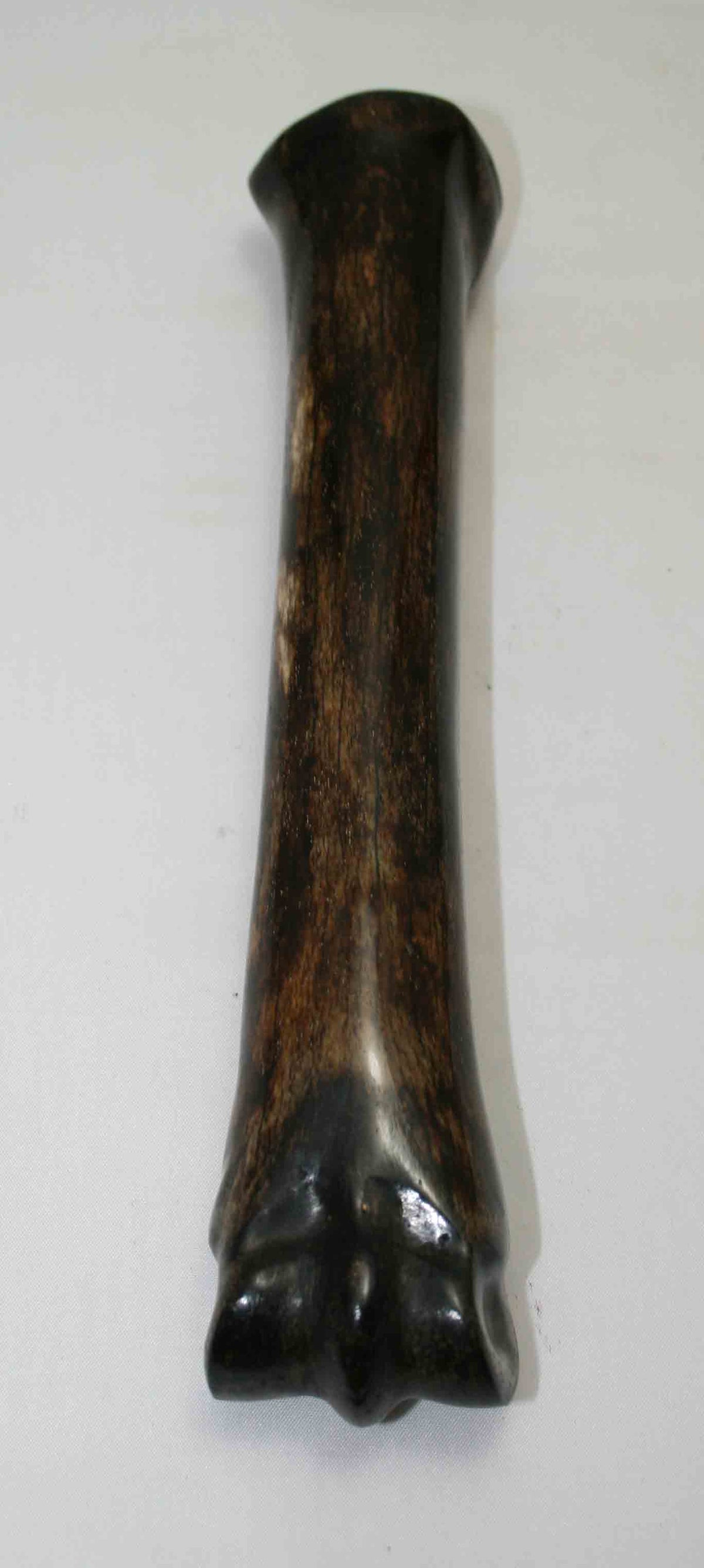 NB701MMA10 Zebra Bone