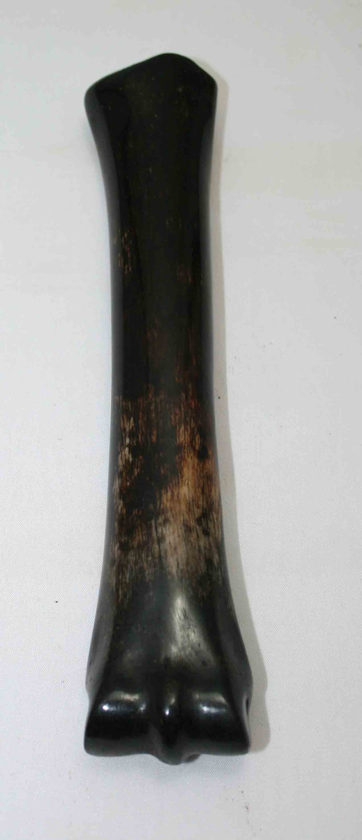 NB701MMA13 Zebra Bone