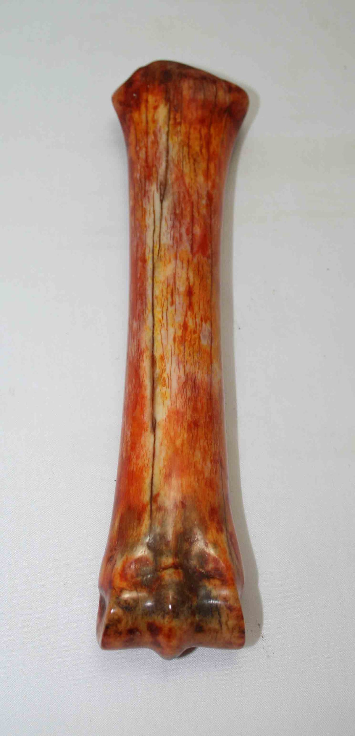 NB701MMA15 Zebra Bone