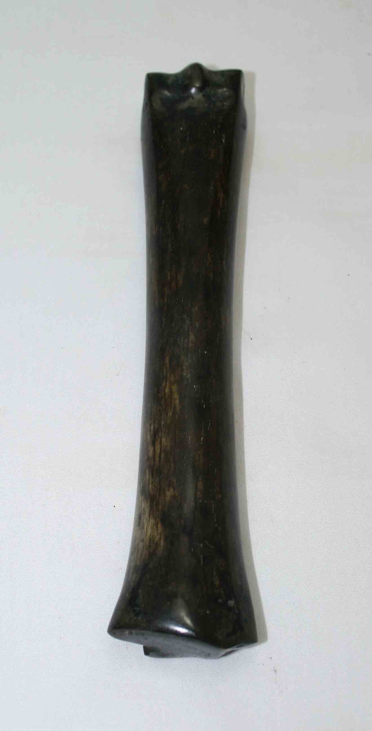 NB701MMA1 Zebra Bone