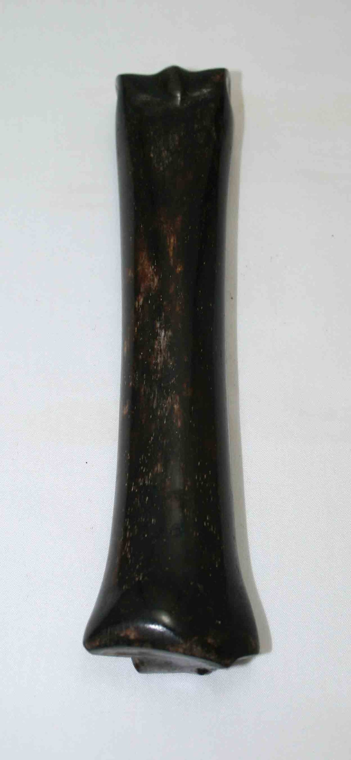 NB701MMA4 Zebra Bone