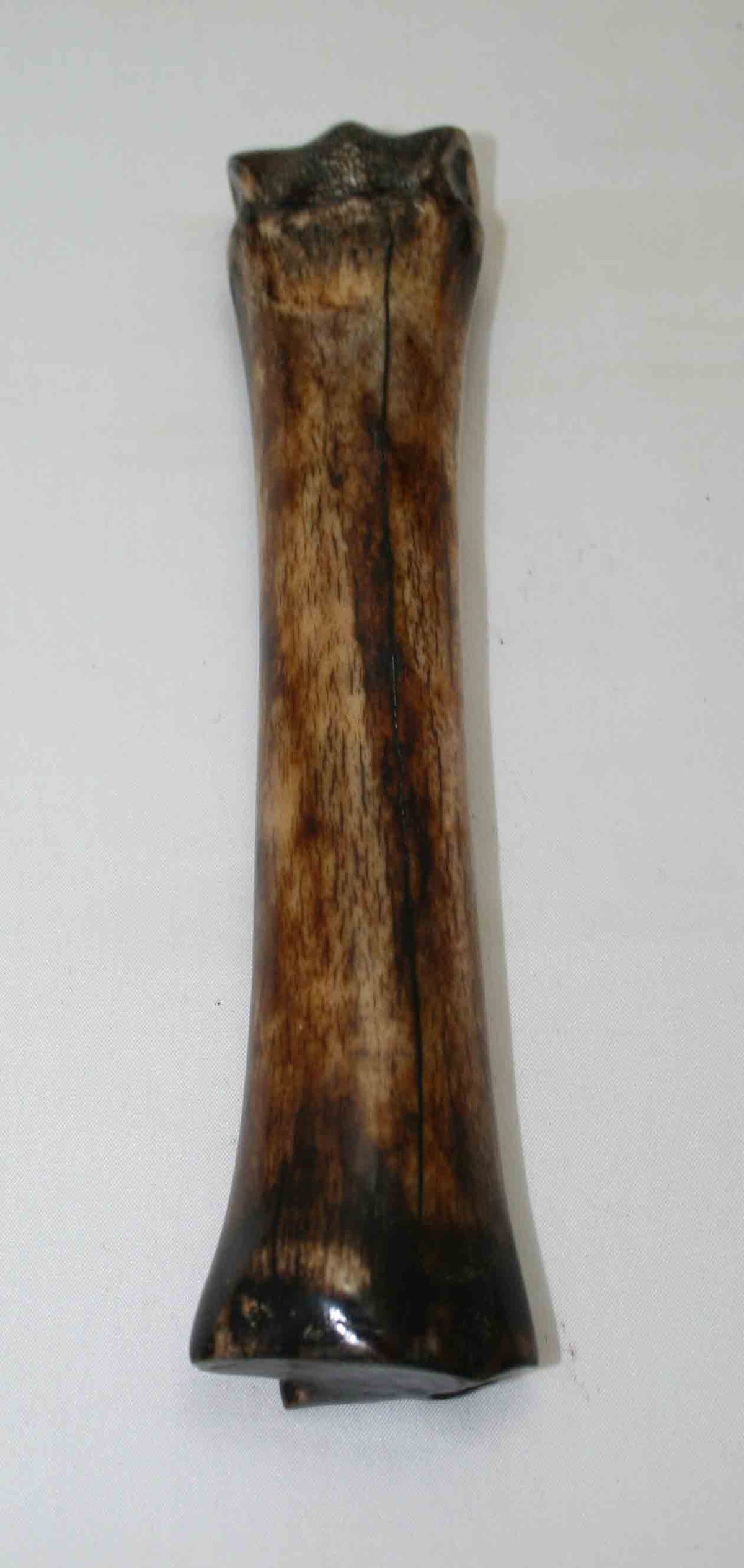 NB701MMA7 Zebra Bone