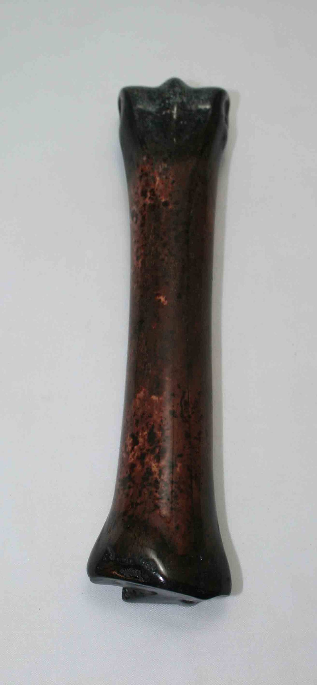 NB701NAM11 Zebra Bone