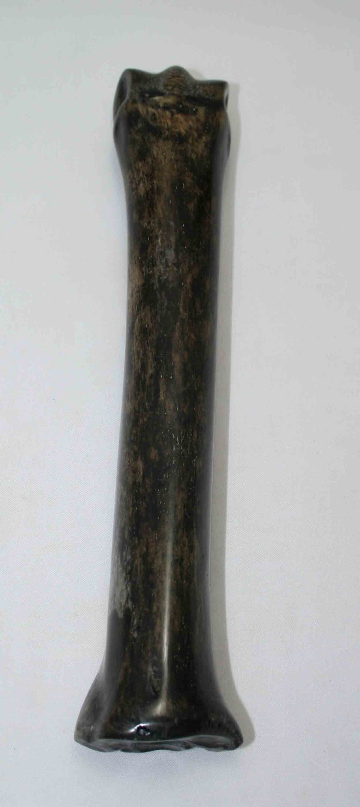 NB701NAM14 Zebra Bone