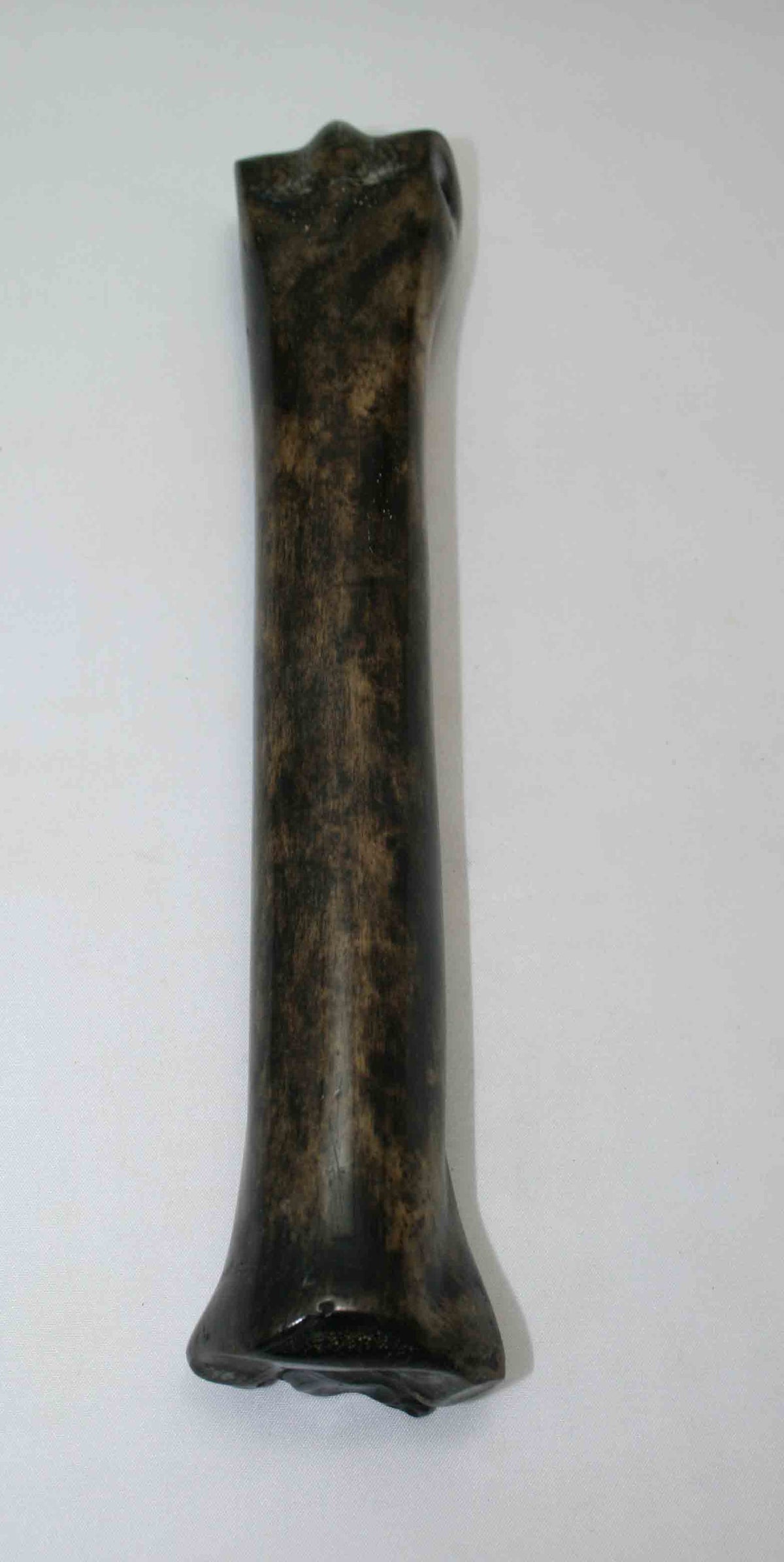 NB701NAM17 Zebra Bone