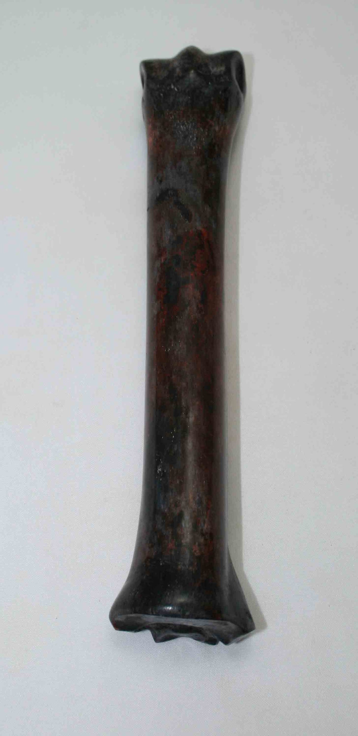 NB701NAM21 Zebra Bone