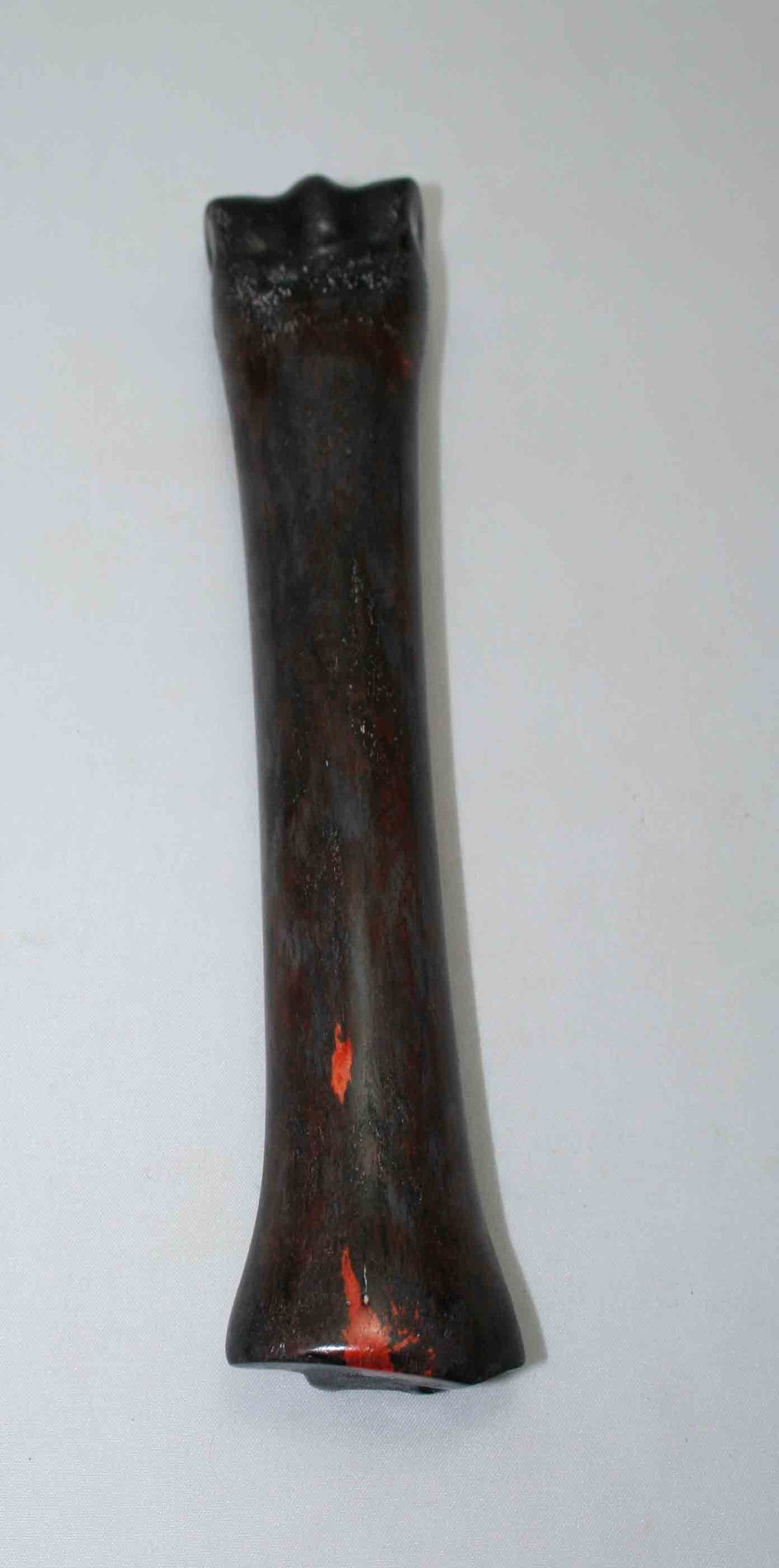 NB701NAM24 Zebra Bone