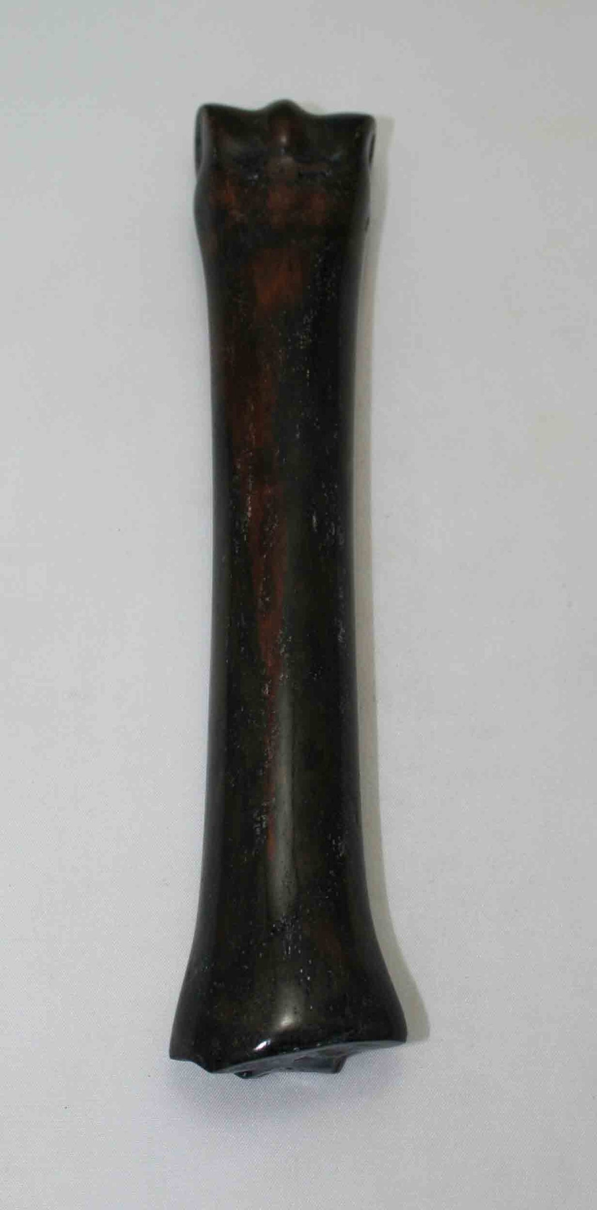 NB701NAM26 Zebra Bone