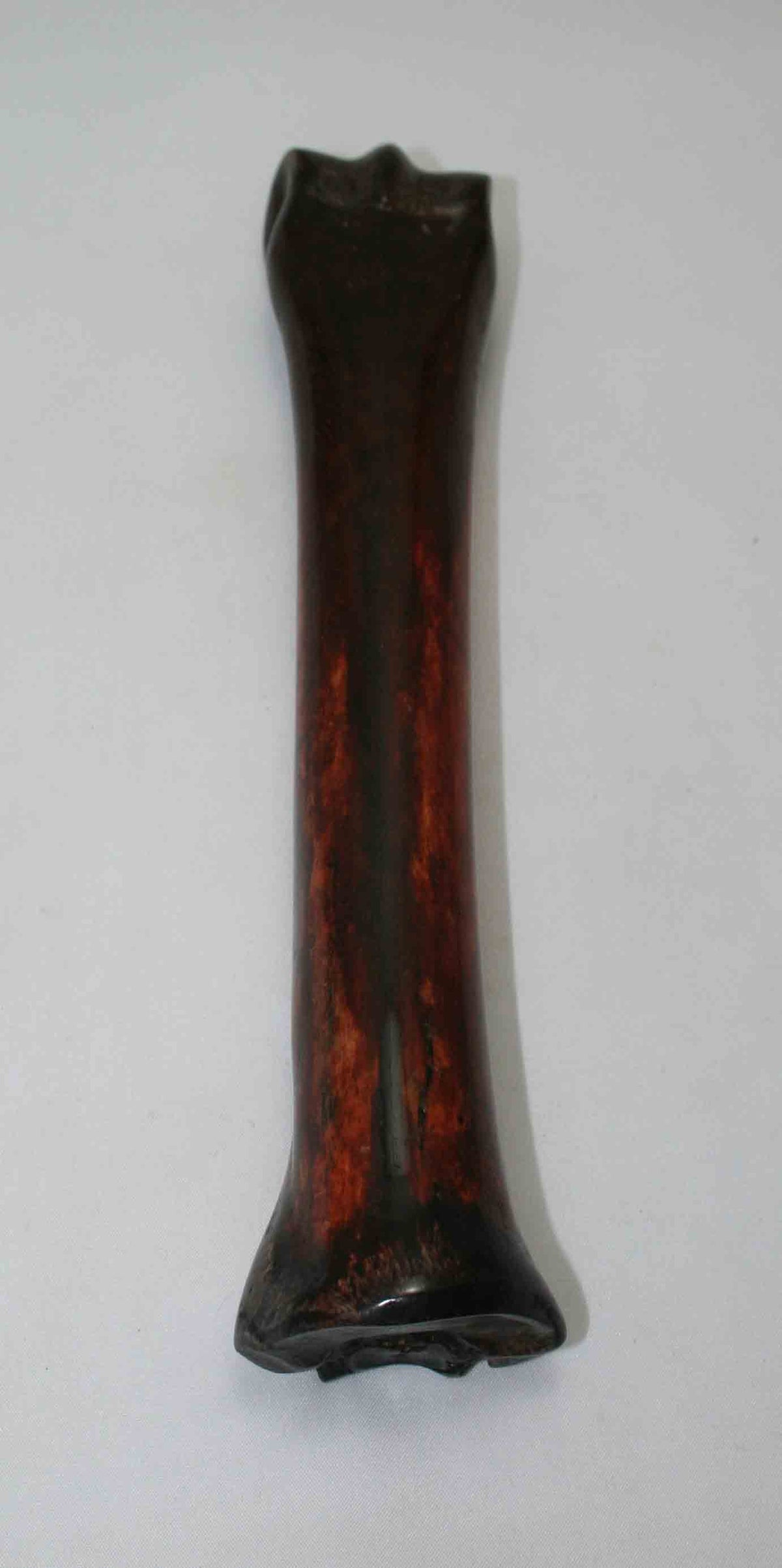 NB701NAM28 Zebra Bone