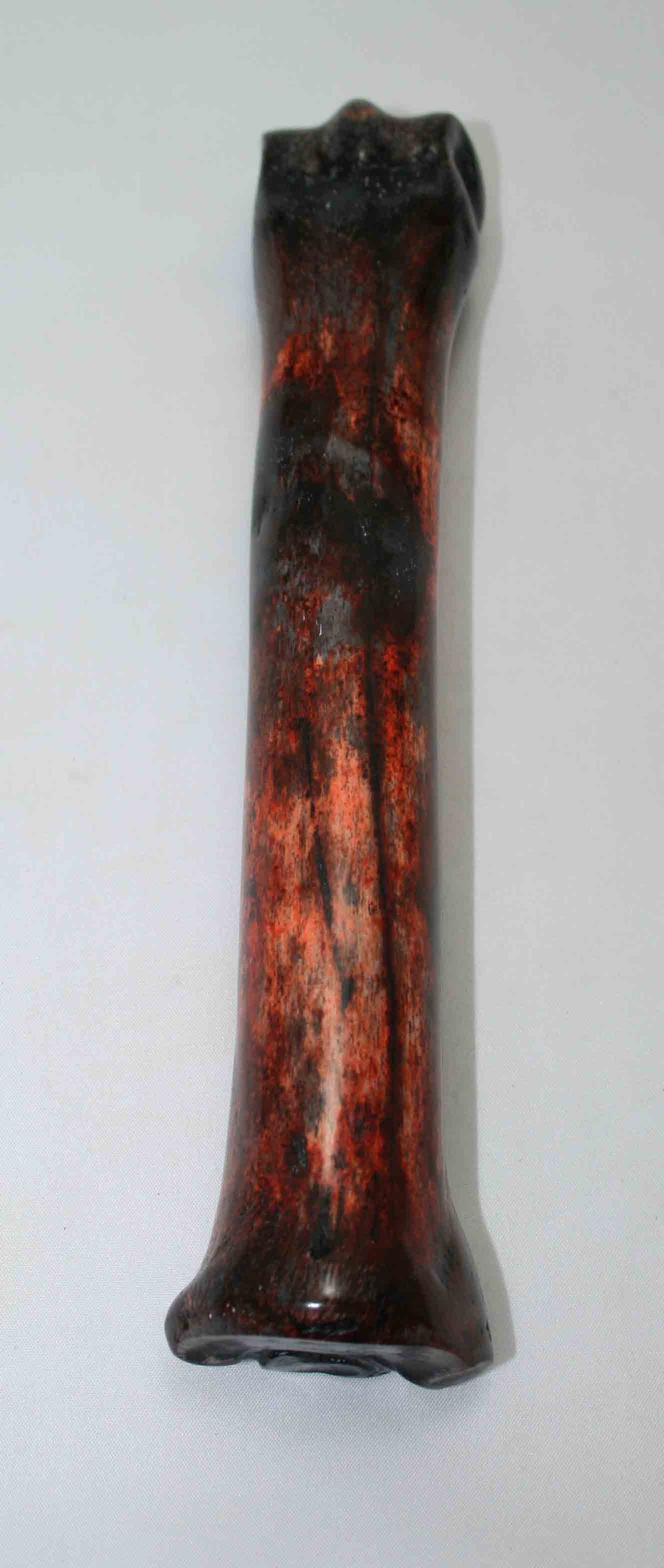 NB701NAM35 Zebra Bone