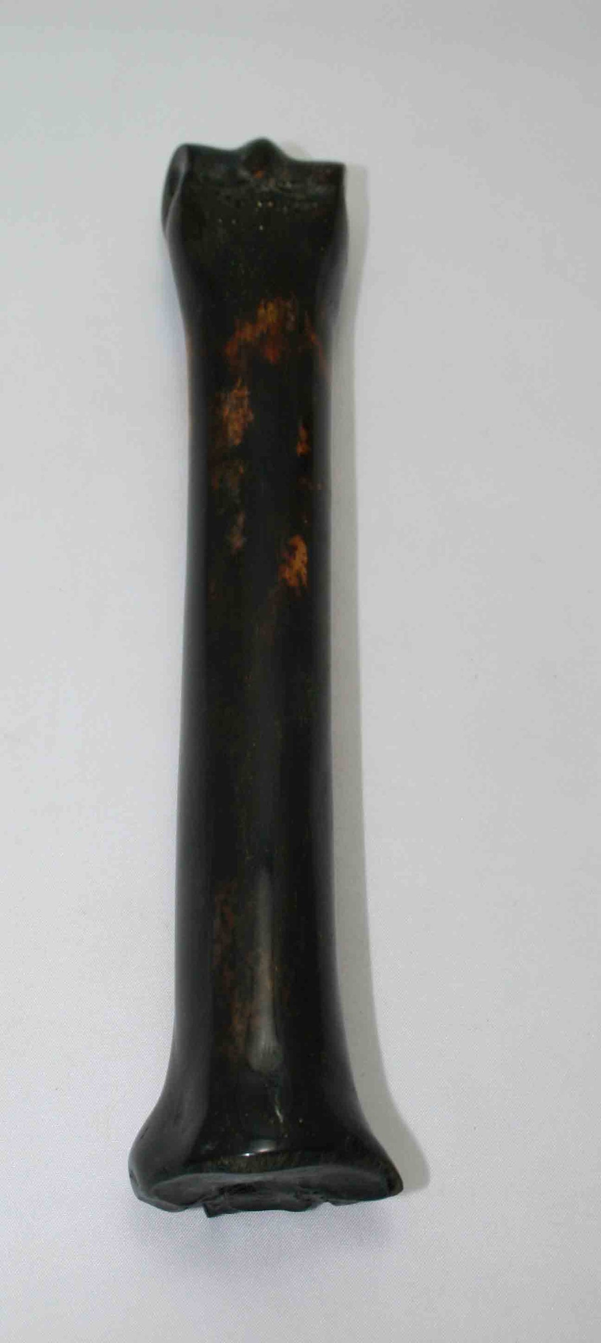 NB701NAM3 Zebra Bone