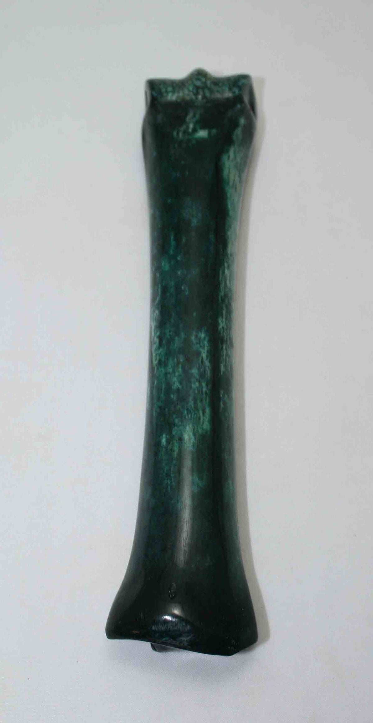 NB701NAM43 Zebra Bone