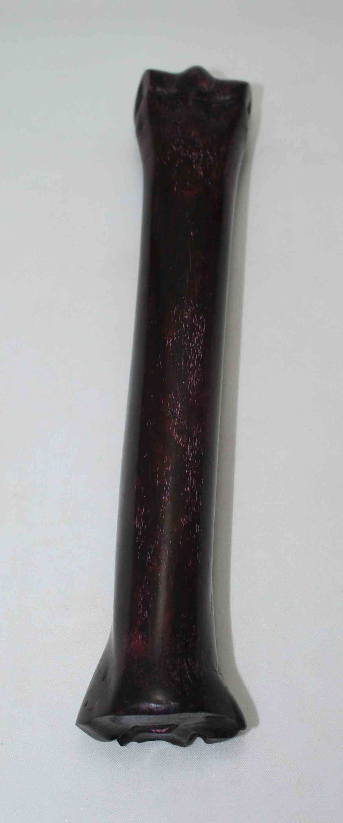 NB701NAM44 Zebra Bone