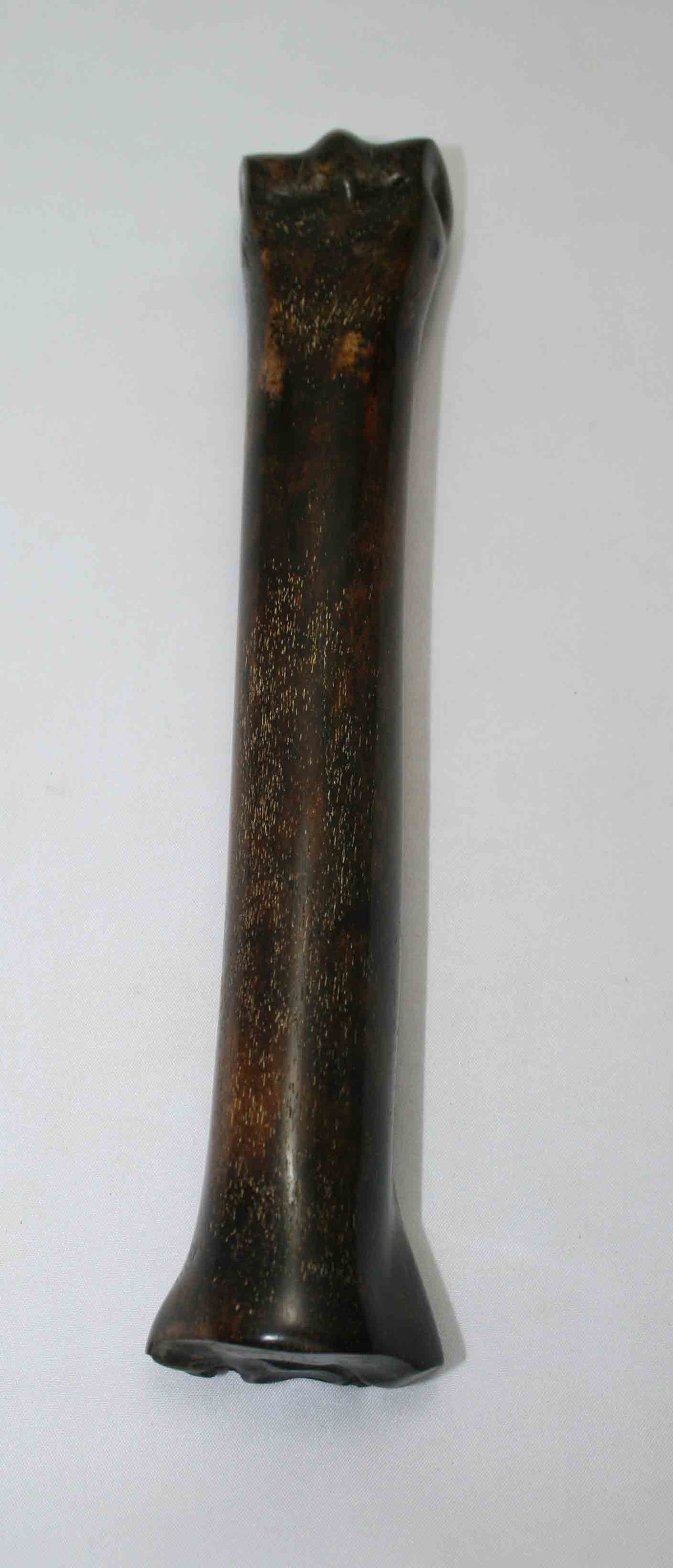 NB701NAM45 Zebra Bone