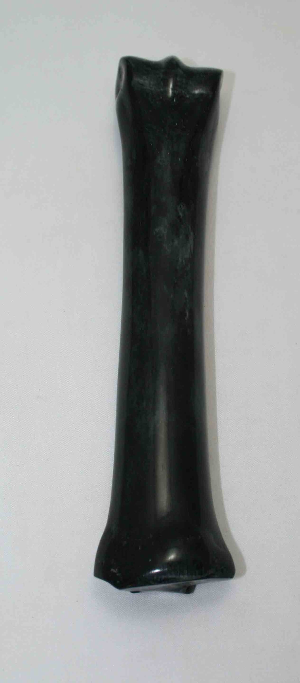 NB701NAM46 Zebra Bone