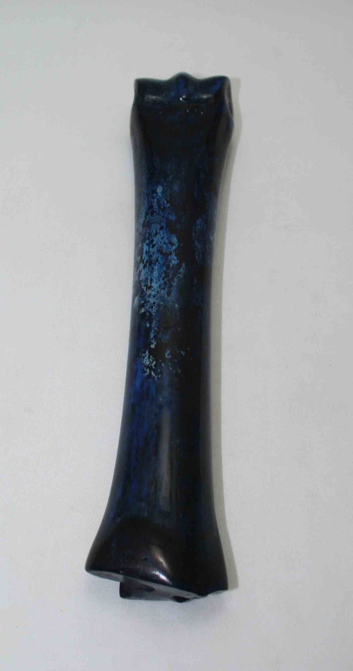 NB701NAM6 Zebra Bone