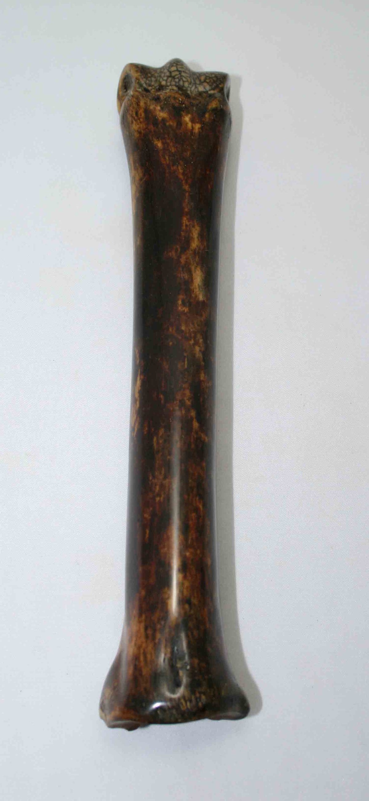 NB701NAM7 Zebra Bone