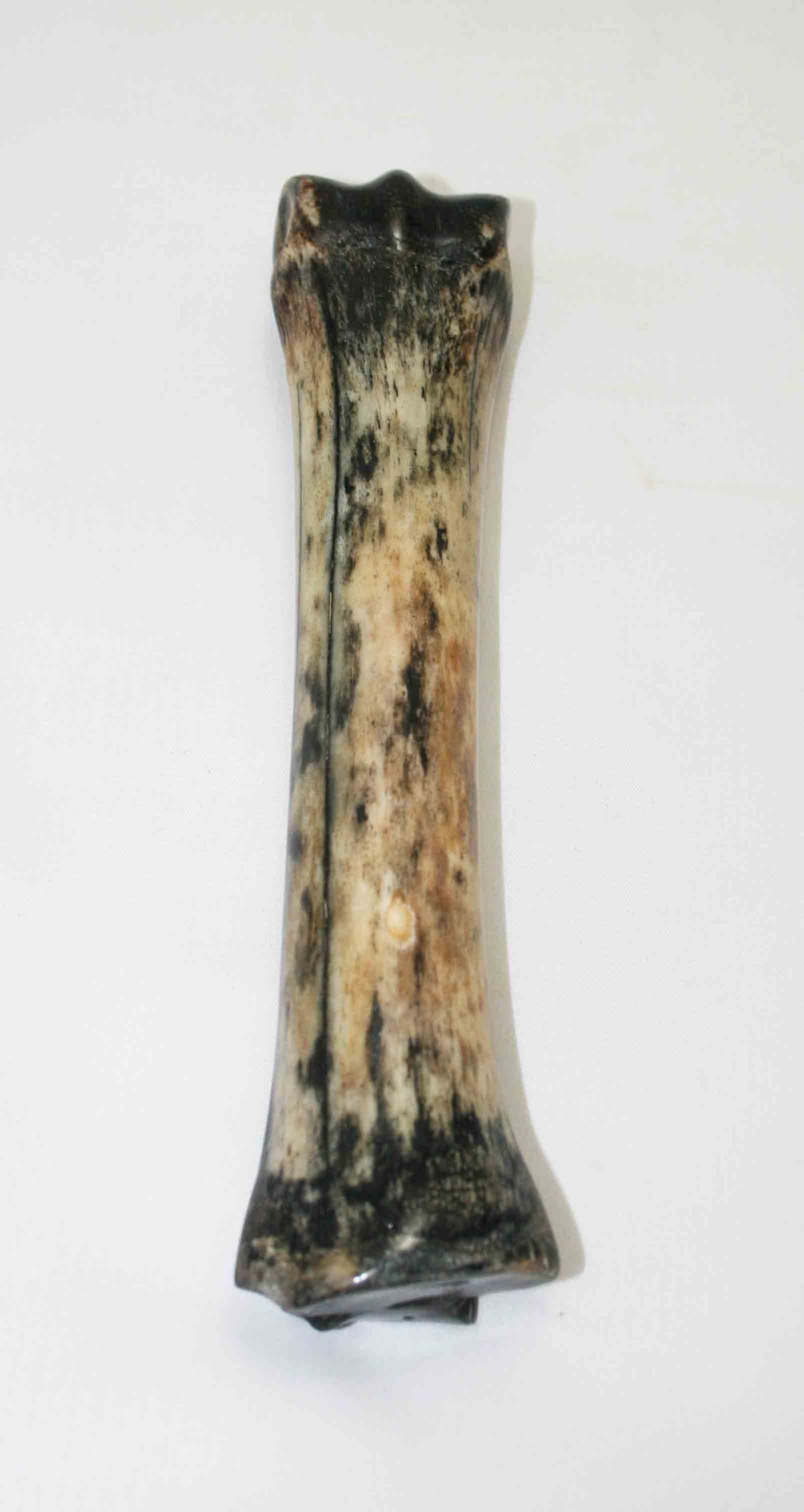 NB701NA16 Zebra Bone 8.00" x 1.23" x 0.96" inch