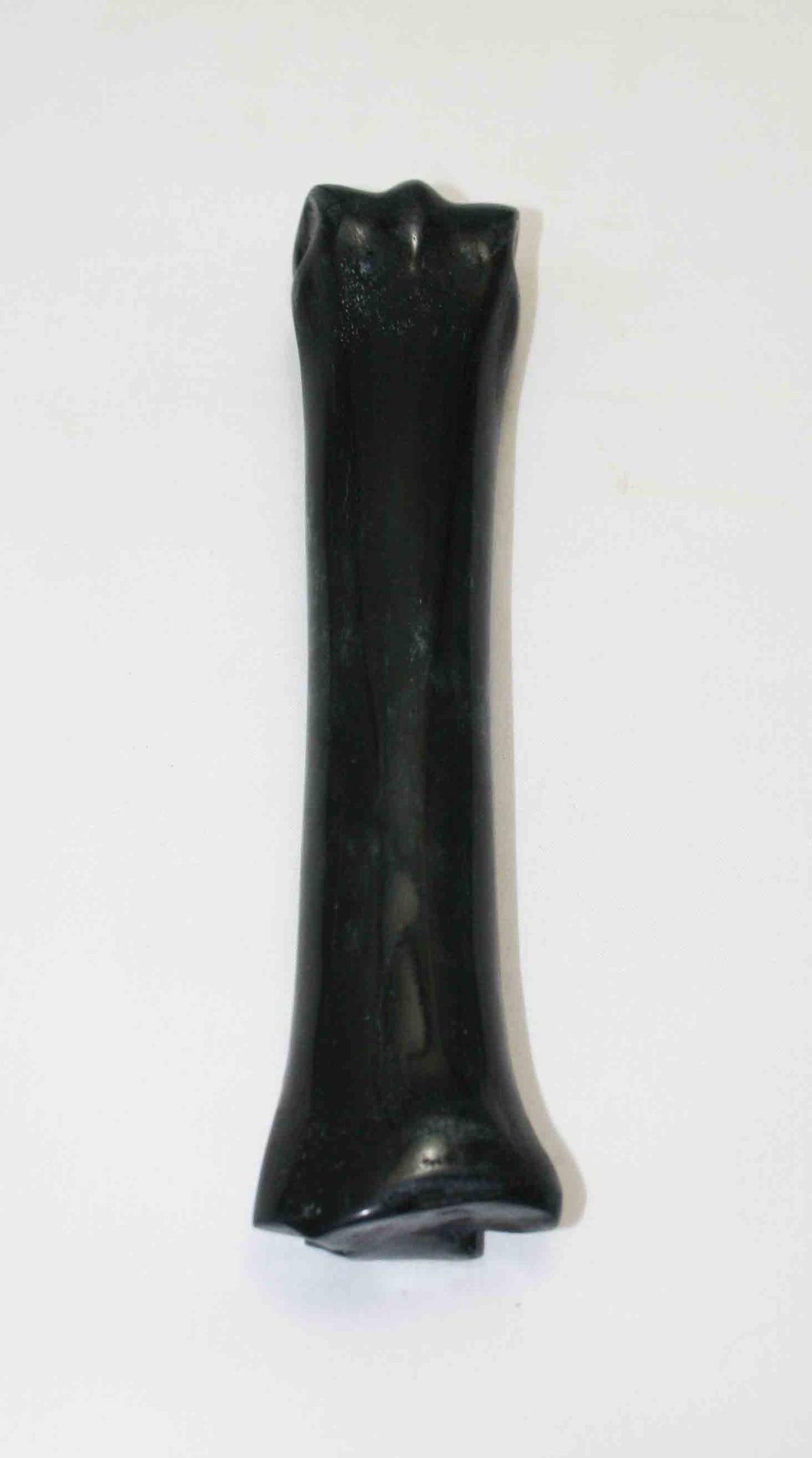 NB701NA18 Zebra Bone 8.00" x 1.23" x 0.89" inch