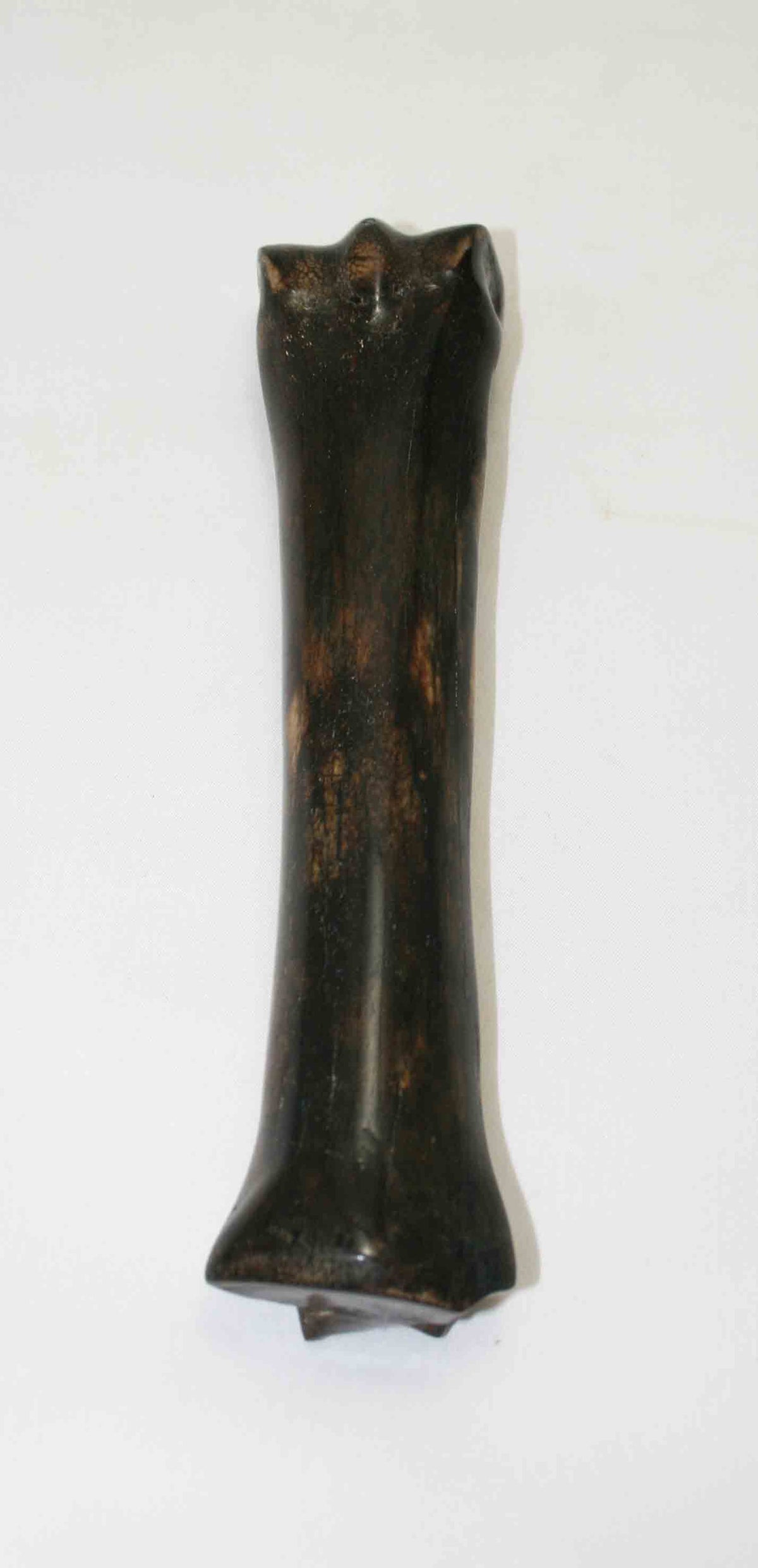 NB701NA21 Zebra Bone 8.00" x 1.25" x 0.98" inch