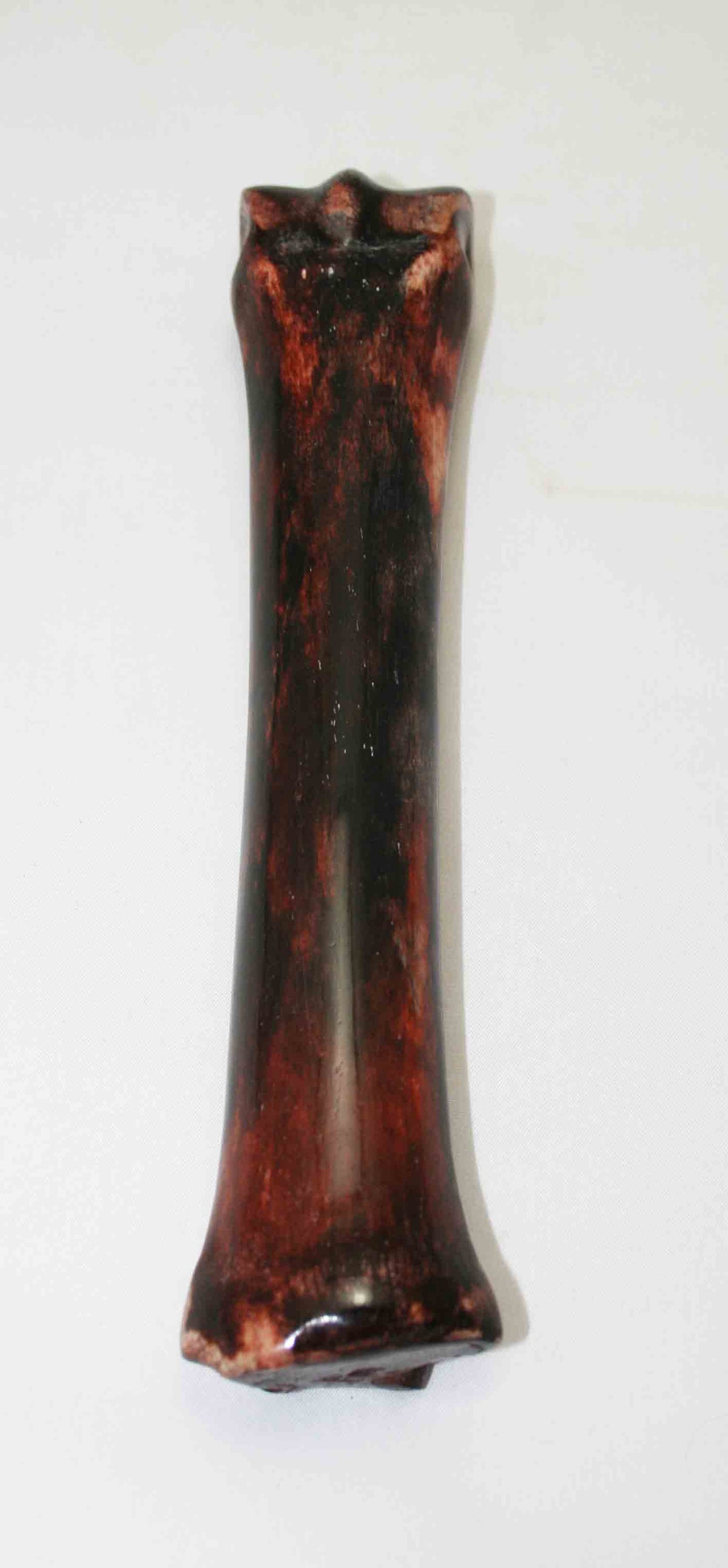 NB701NA2 Zebra Bone 8.00" x 1.19" x 0.95" inch