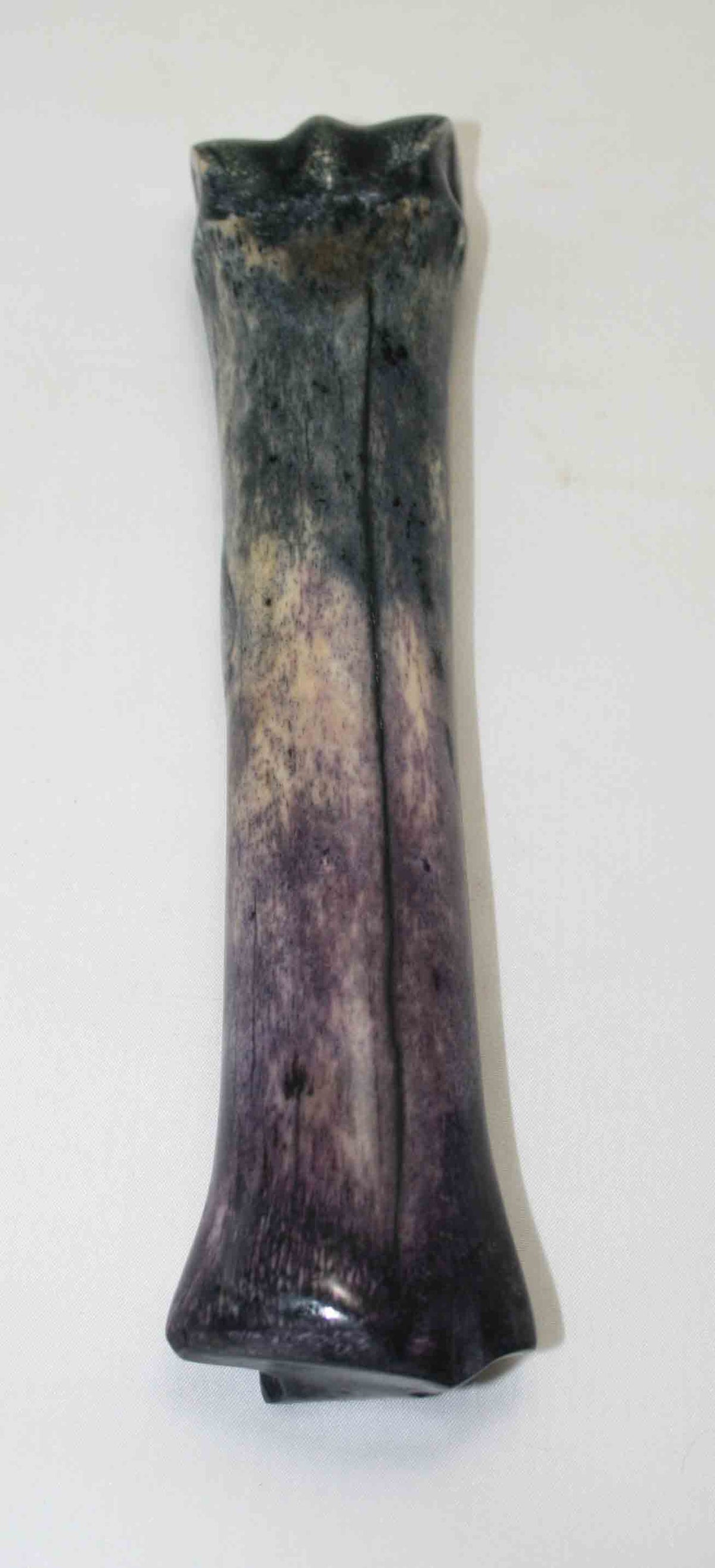 NB701NA4 Zebra Bone 8.50" x 1.42" x 1.00" inch