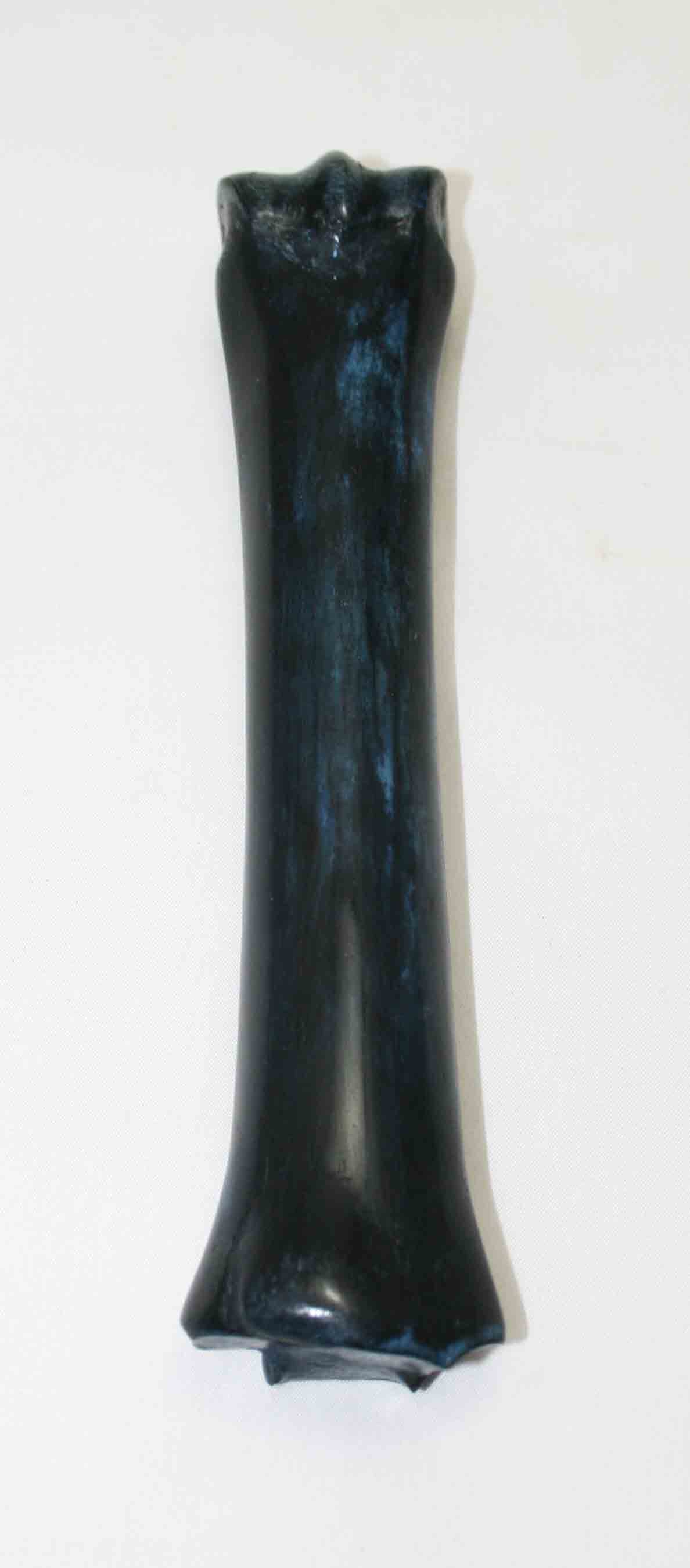 NB701NA6 Zebra Bone 7.50" x 1.08" x 0.89" inch