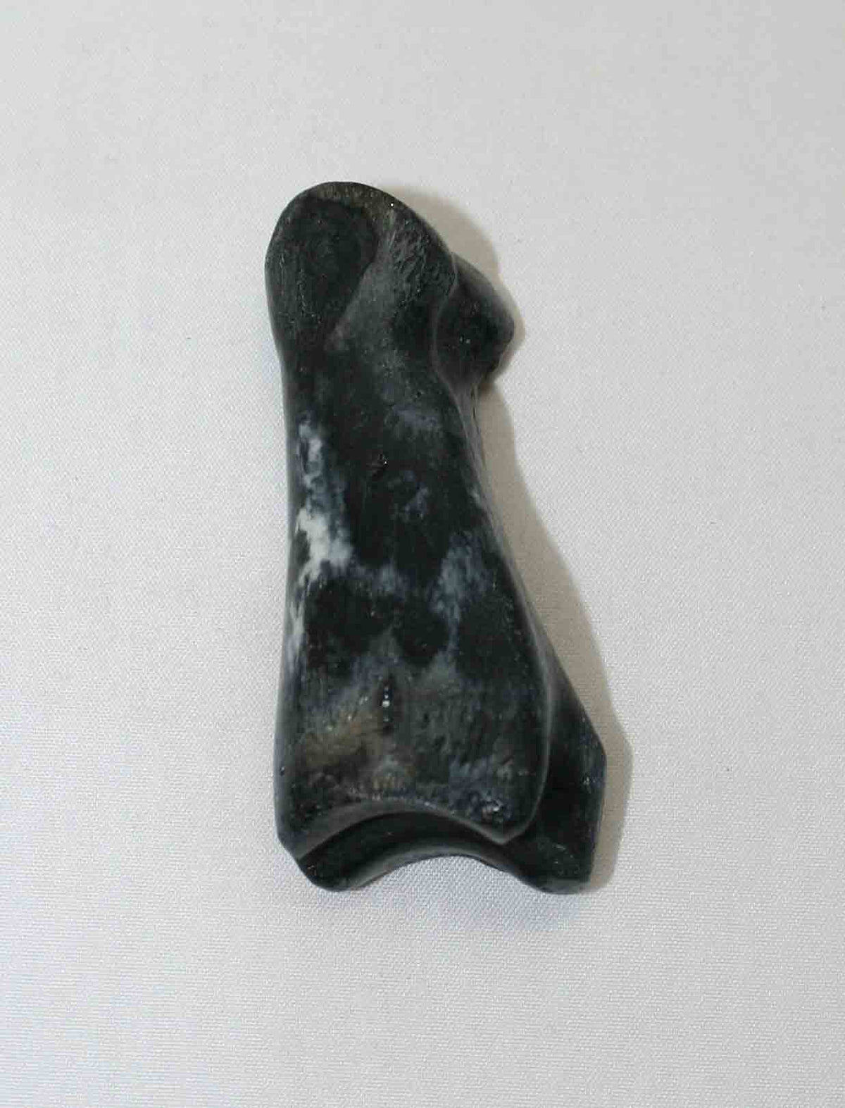NB616LG8 Carpal Bone - Wildebeest (medium)