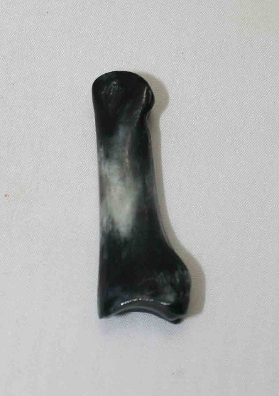 NB616LG11 Carpal Bone - Wildebeest (medium)