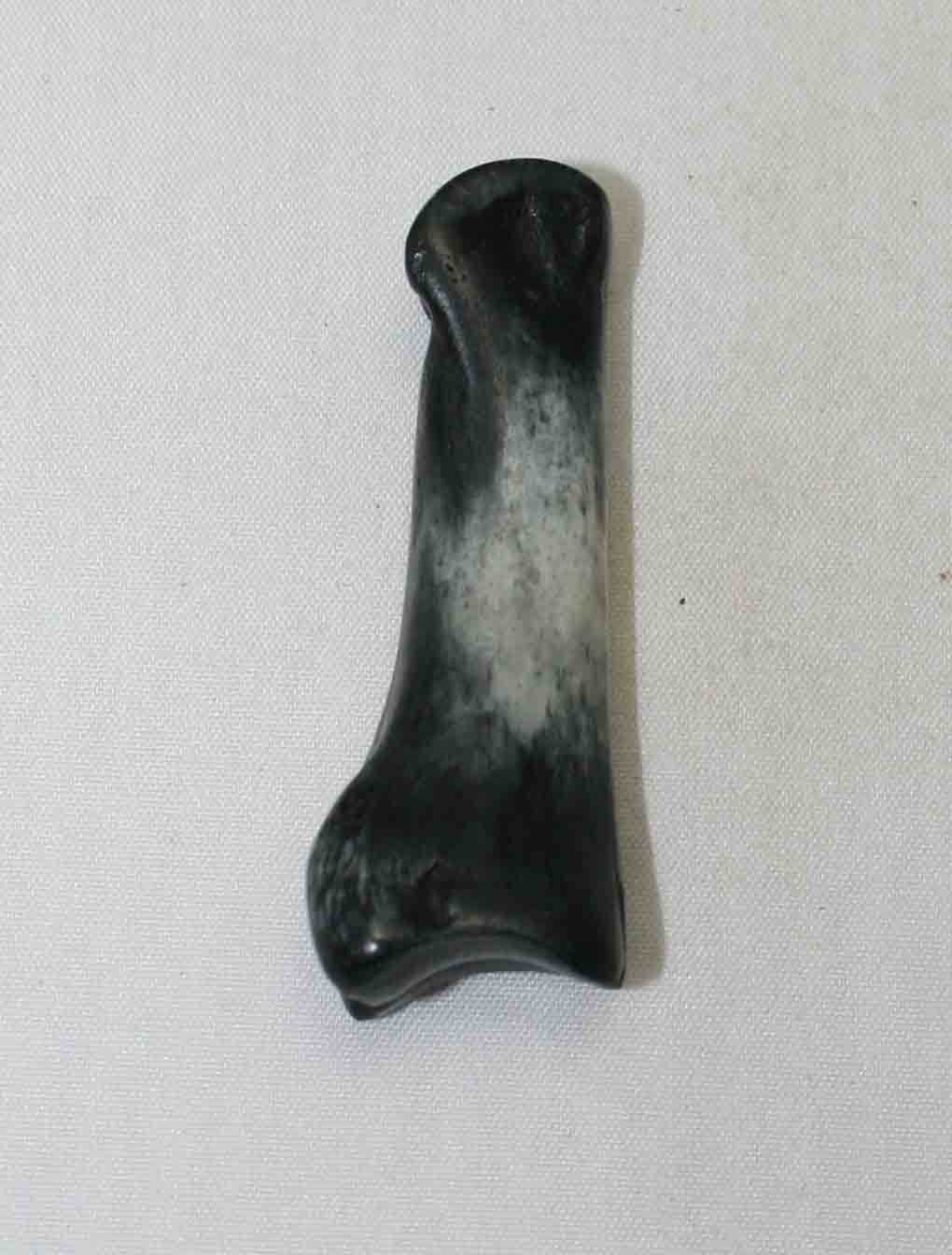 NB616LG12 Carpal Bone - Wildebeest (medium)