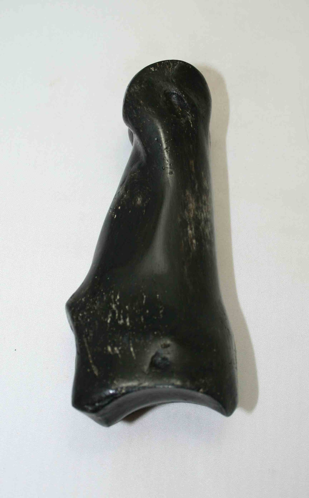NB617LG2 Carpal Bone - Giraffe (large)