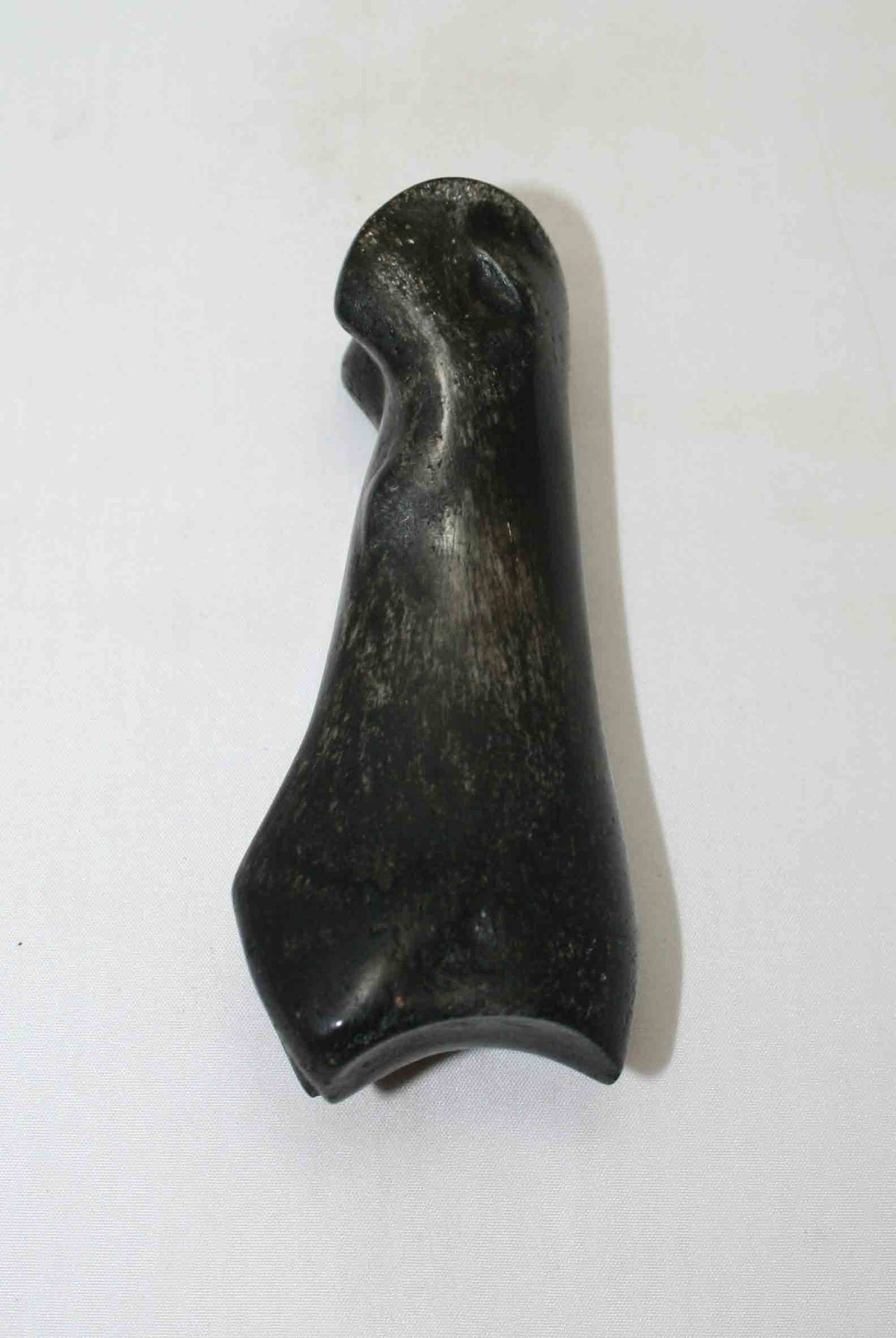 NB617LG4 Carpal Bone - Giraffe (large)