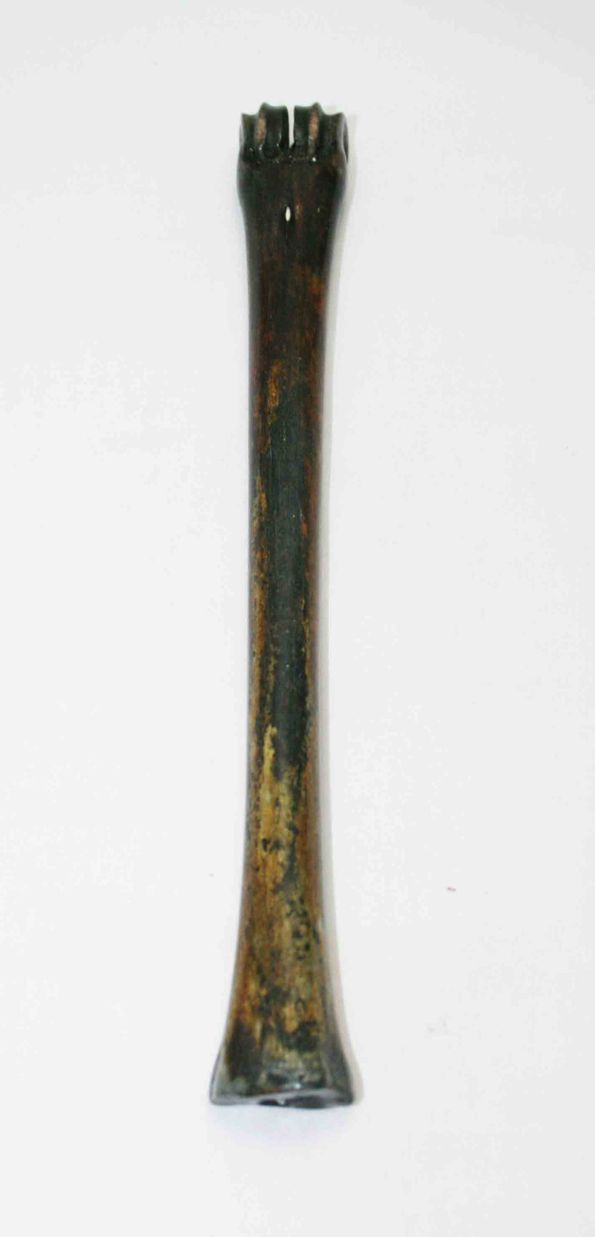 NB801JS10 Impala Bone