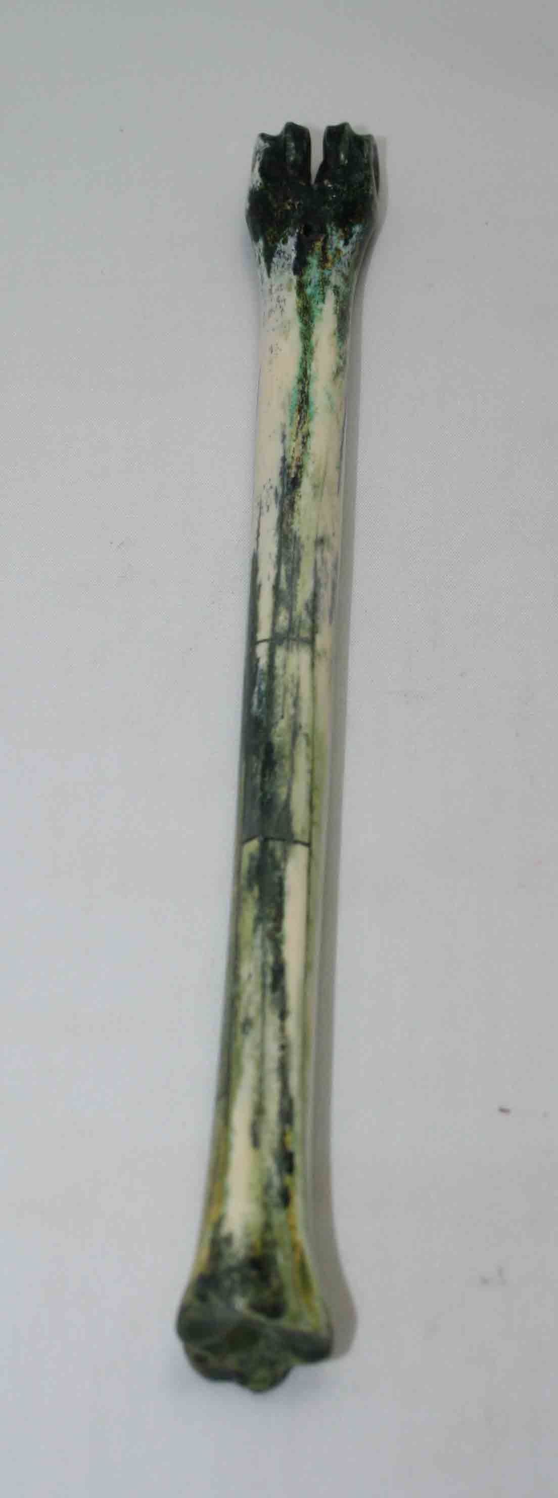 NB801JS11 Impala Bone